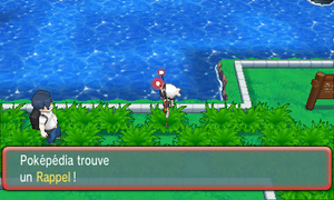 Route 110 Rappel ROSA.png