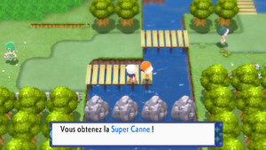 Route 209 Super Canne DEPS.png