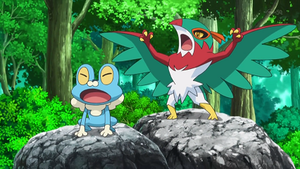 XY049 - Grenousse et Brutalibré de Sacha.png
