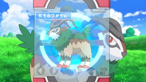 XY057 - Chevroum Pokédex.png