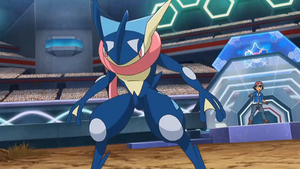 XY128 - Amphinobi et Sacha.png
