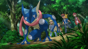 XY139 - Amphinobi de Sacha.png