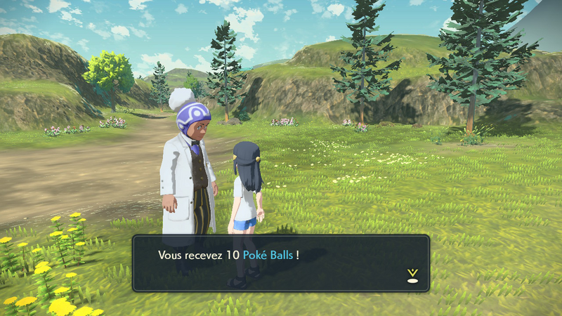 Fichier:Aire d'Initiation Poké Ball 2 LPA.png