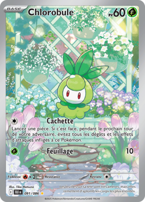 Carte Écarlate et Violet Foudre Noire 091.png