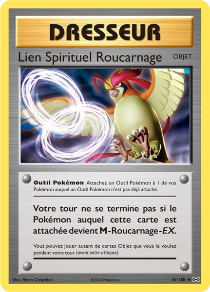 Fichier:Carte XY Évolutions 81.png