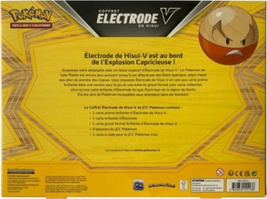 Coffret Électrode de Hisui-V Verso.png
