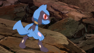 LV042 - Riolu de Sacha.png