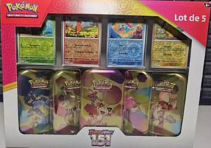 Lots de 5 mini-boîtes 2.png