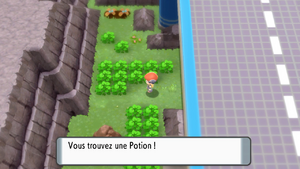 Route 206 Potion DEPS.png