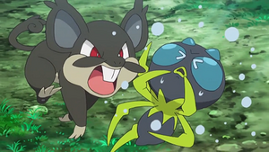 SL071 - Rattata d'Alola.png