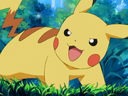 Pikachu(de Sacha)