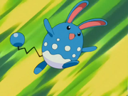 Azumarill(de Vincent)