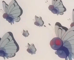 EP258 - Papilusion.png