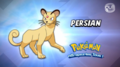 Quel est ce Pokémon ? C'est Persian !