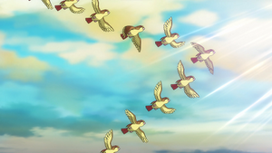 LV136 - Roucarnage.png