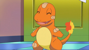 NB116 - Salamèche du Festival de Kanto.png