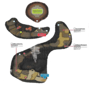 Plan du Parc Volcanique dans Pokémon Soleil et Lune.