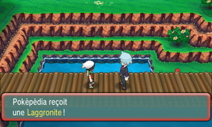 Route 120 Laggronite ROSA.png
