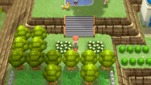 Route 213 PP Plus DEPS.png