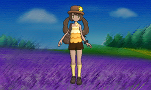Vidéo Dresseur Décor Luminosité Un peu sombre.png