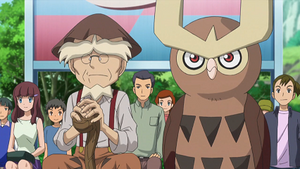 XY077 - Noarfang d'Ornithol.png