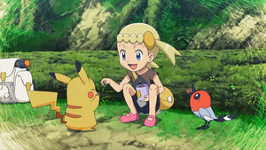 XY140 - Passerouge de Sacha (Flash-back).png