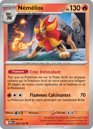 Carte Méga-Évolution 024.png