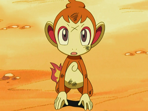 DP052 - Ouisticram de Sacha.png