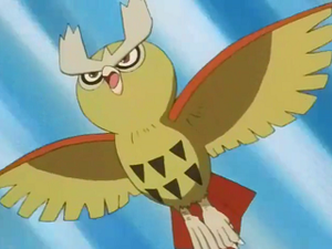 EP219 - Noarfang de Sacha.png
