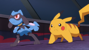 LV044 - Riolu et Pikachu de Sacha.png