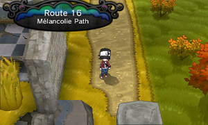 Route 16 XY.png