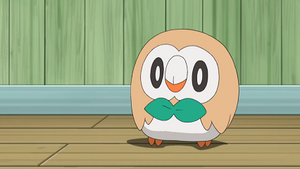 SL112 - Brindibou de Sacha.png