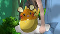 Dedenne (de Lem)