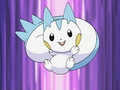 Pachirisu (d'Aurore)