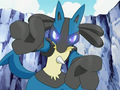 Lucario (d'Armand)