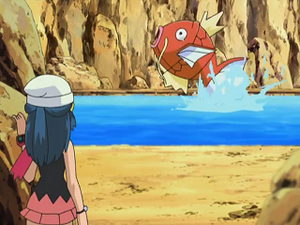 DP140 - Magicarpe.png