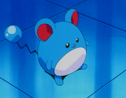 Marill(de Jacky)