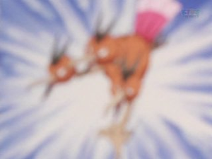 EP228 - Pensée - Dodrio.png