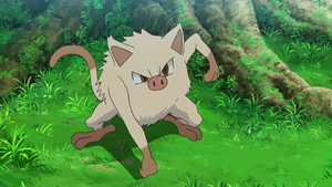 Férosinge de Goh.png