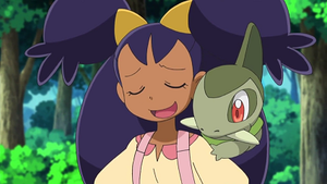 NB044 - Coupenotte d'Iris.png