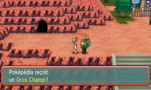 Route 112 Gros Champi ROSA.png