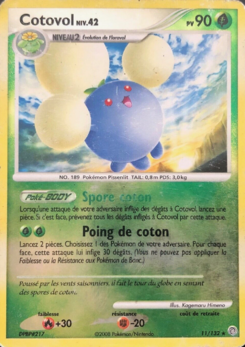 Cotovol (Diamant & Perle Merveilles Secrètes 11)