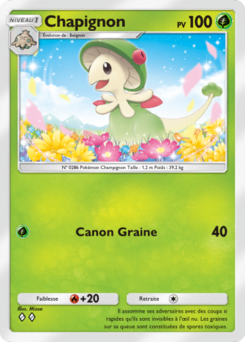 Chapignon (Méga-Ascension 012)