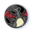 Pièce Pokémon - Dracaufeu chromatique