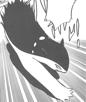 Typhlosion de Maestria-PMS.png