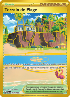 Terrain de Plage (Écarlate et Violet Faille Paradoxe 263)