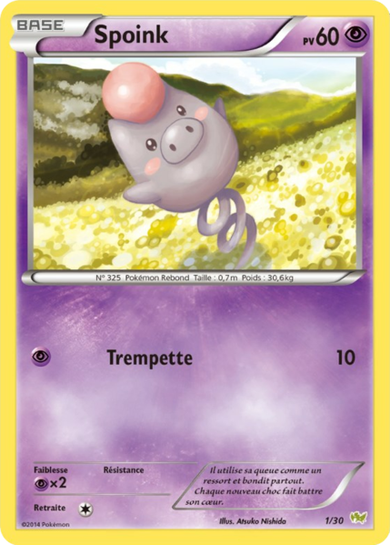 Fichier:Carte XY Kit du Dresseur Bruyverne 1.png