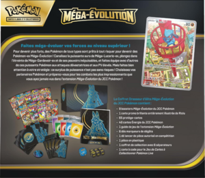 Coffret Dresseur d'élite Méga-Évolution Méga-Lucario Verso.png