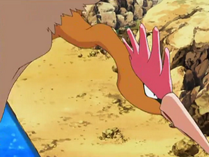 DP140 - Rapasdepic.png