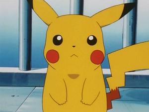 EP127 - Pikachu de Sacha.png